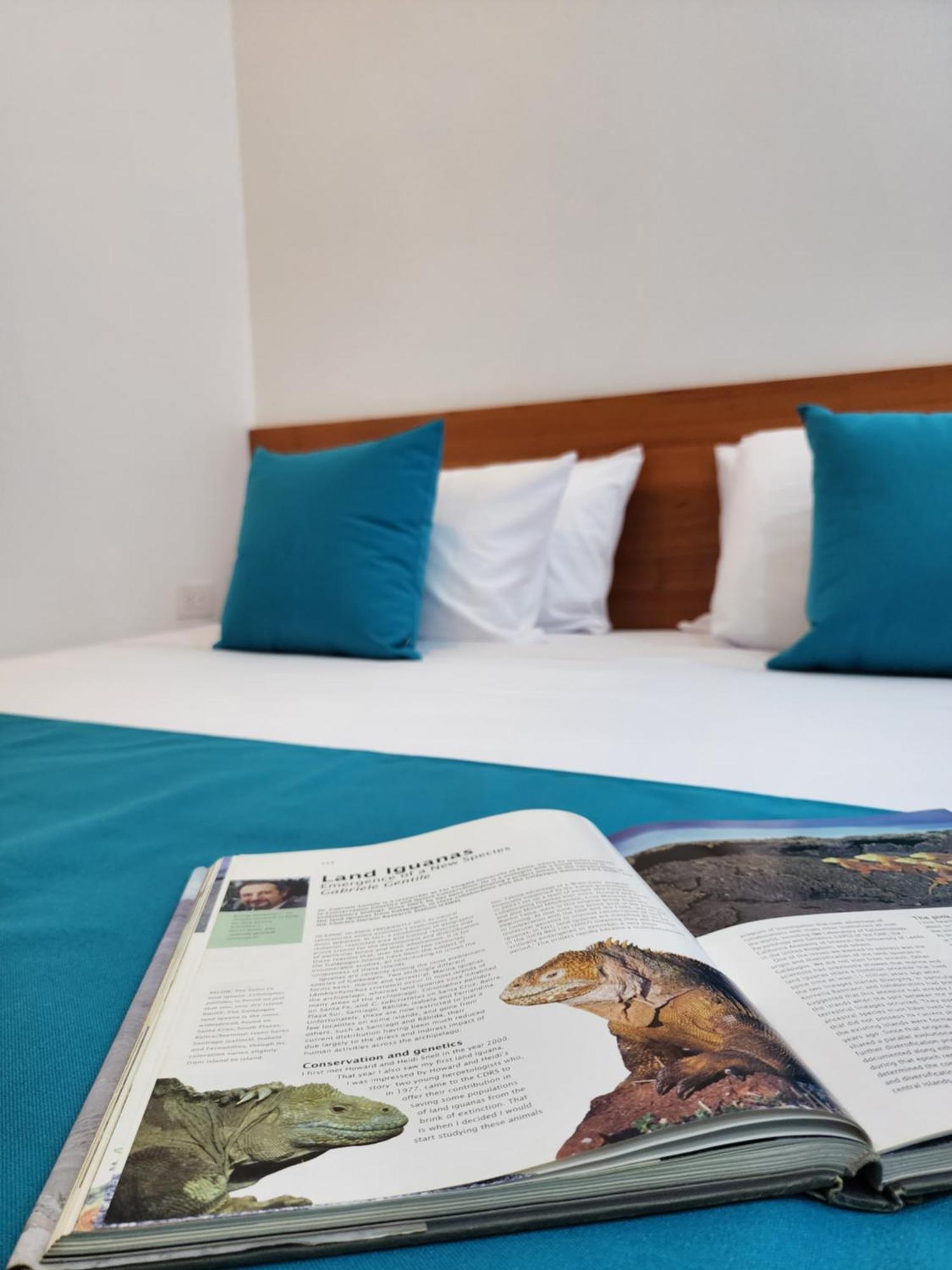 Casa Galapagos By Hostal Fragata Puerto Ayora  Eksteriør billede
